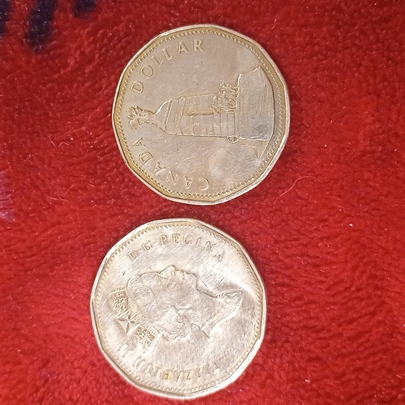 Two different one dollar Canadian one dollar coin - Picture 2 of 4